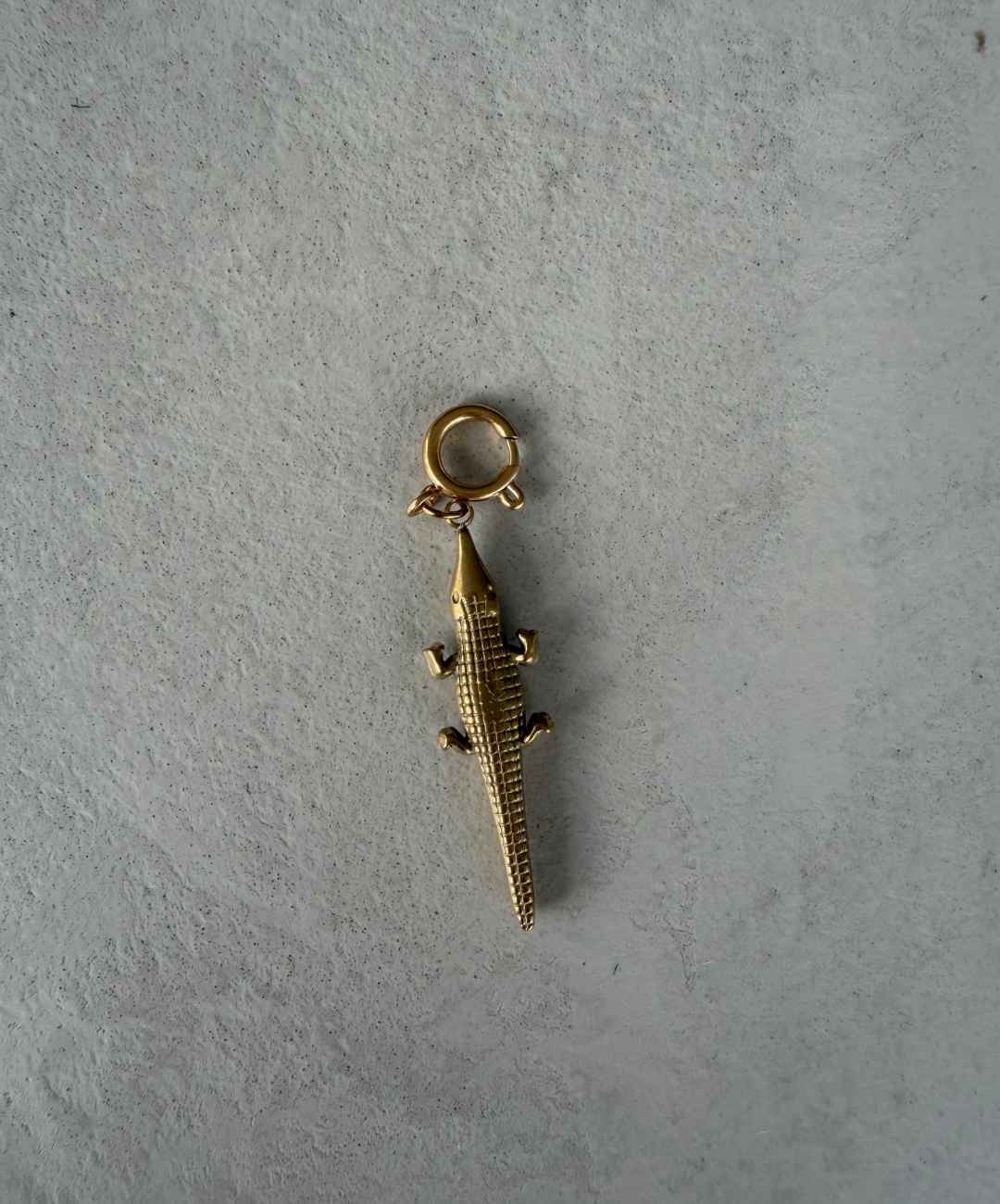 Krokodil Charm