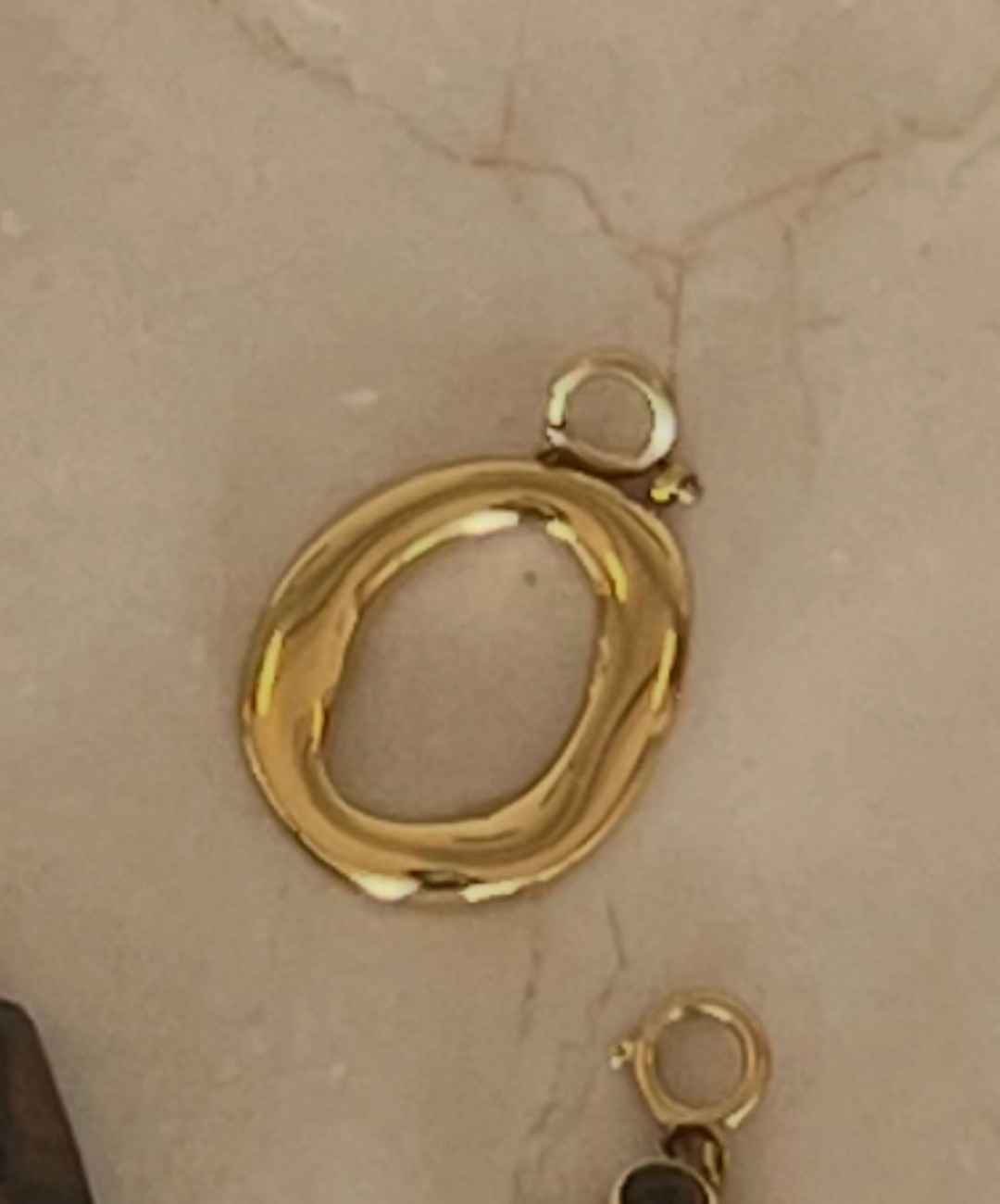 Ronde gouden Charm