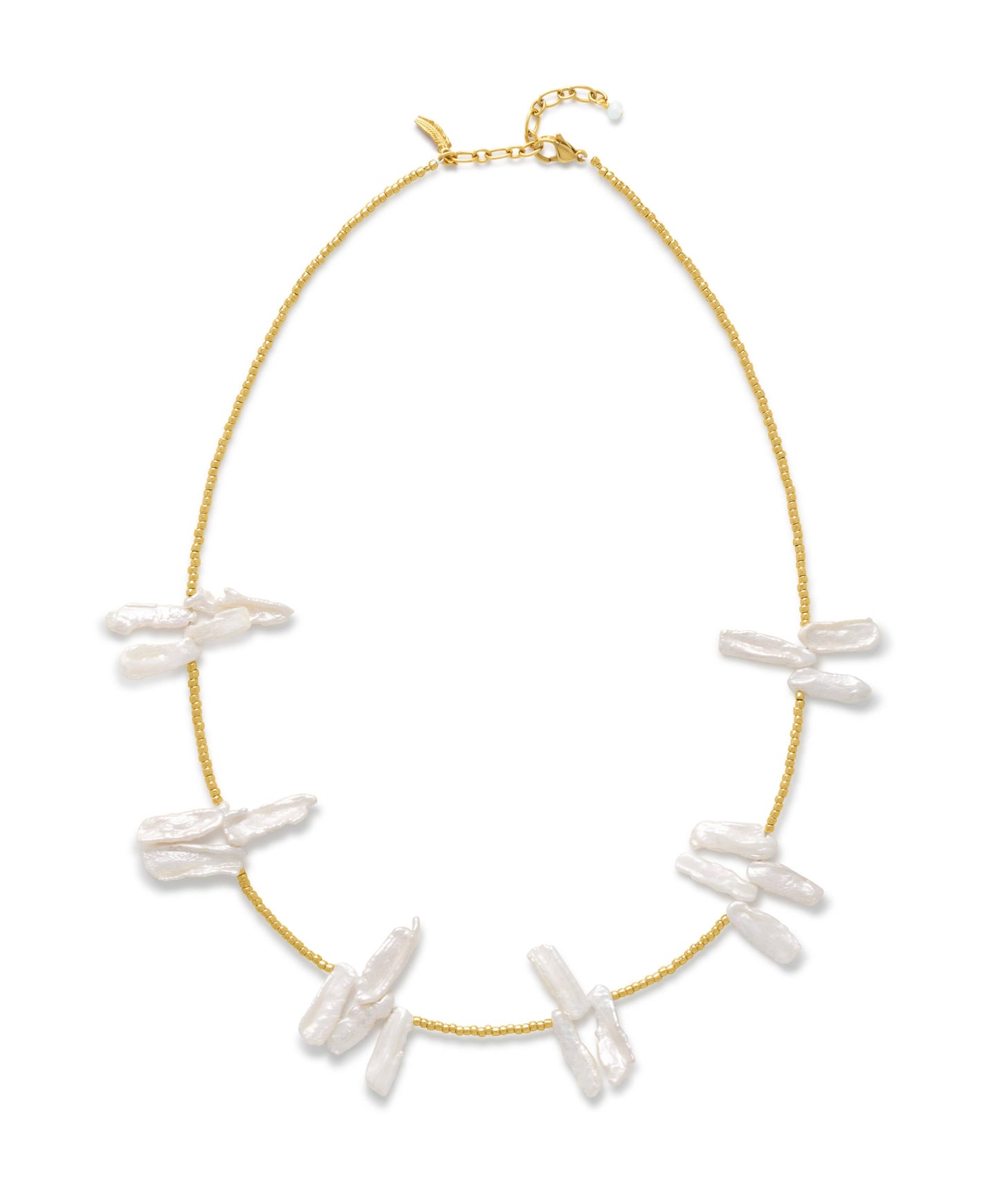 Reef Ketting