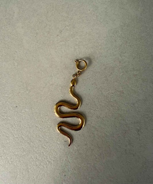 Slang Charm