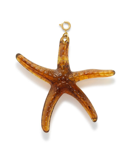 Oversized Seastar Bedel Brown